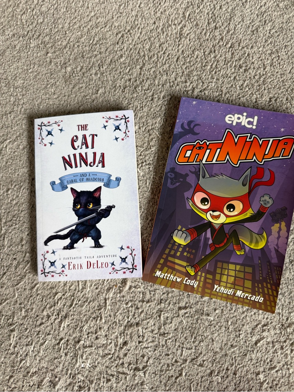 Cat Ninja Kids Costume - Red and Gray Superhero Outfit